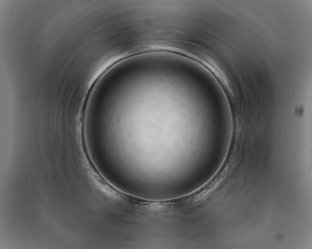 X0000091460814200708161521