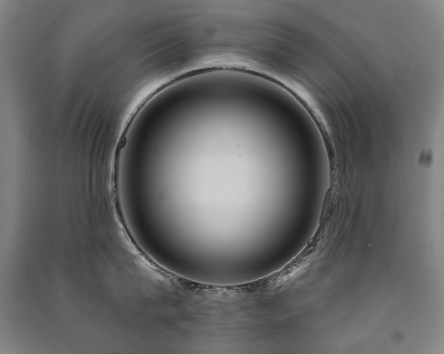 X0000091460815200708161521