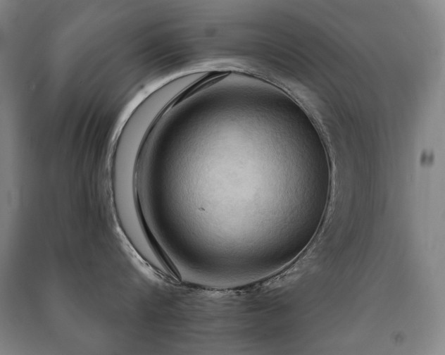 X0000091460816200708161521