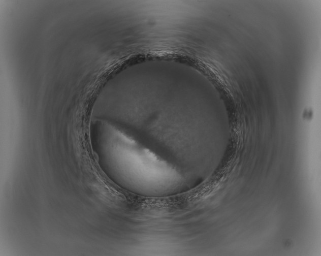 X0000091460817200708161520