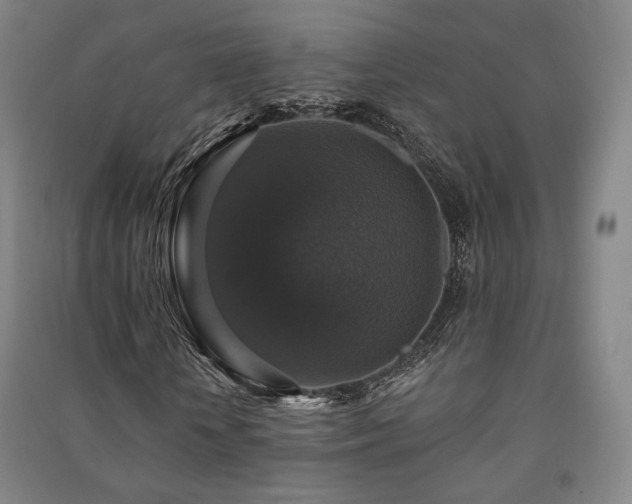 X0000091460818200708161520