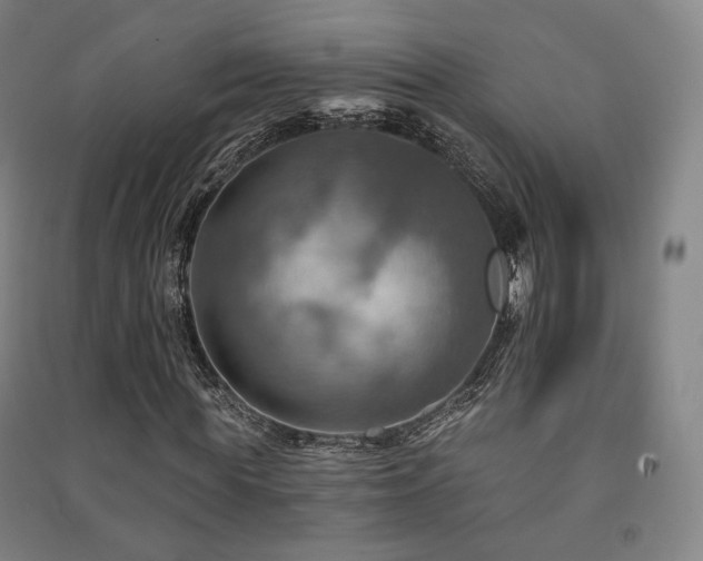 X0000091460819200708161520