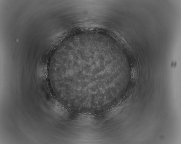 X0000091460820200708161520
