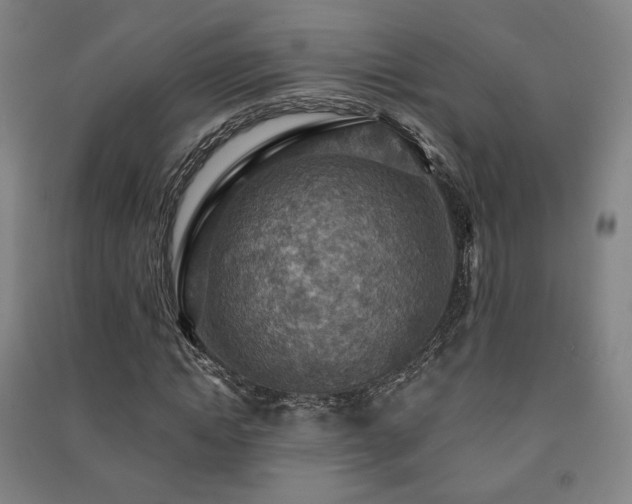 X0000091460822200708161521