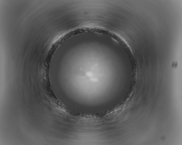 X0000091460823200708161521