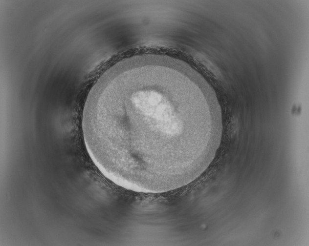 X0000091460824200708161521