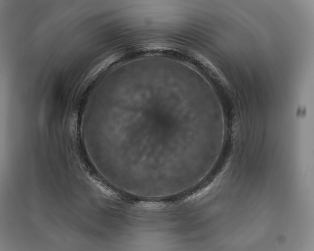 X0000091460825200708161521