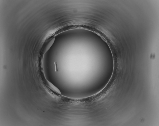 X0000091460826200708161521
