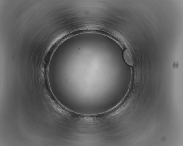 X0000091460827200708161521