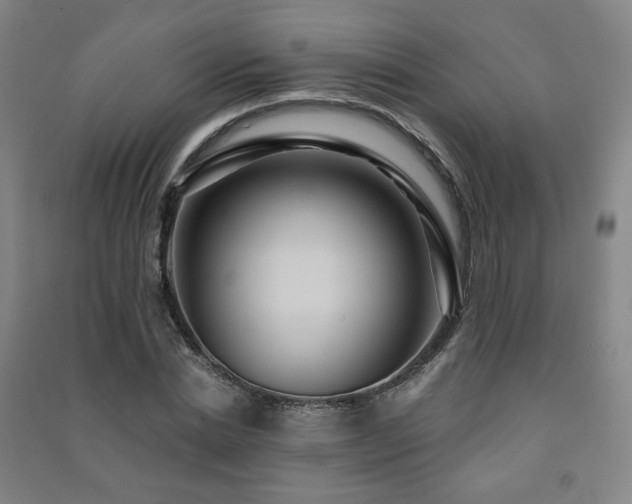 X0000091460830200708161521