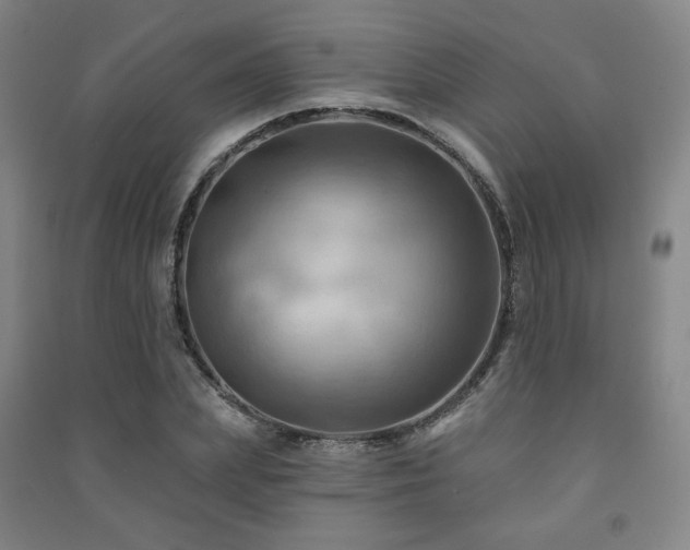X0000091460831200708161521