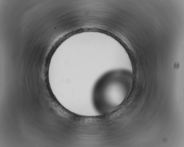 X0000091460832200708161521