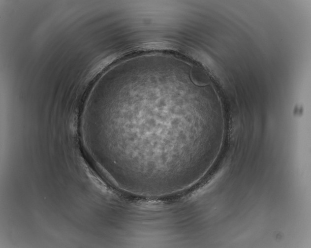 X0000091460833200708161521