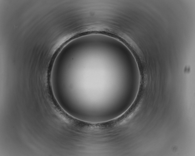 X0000091460834200708161521