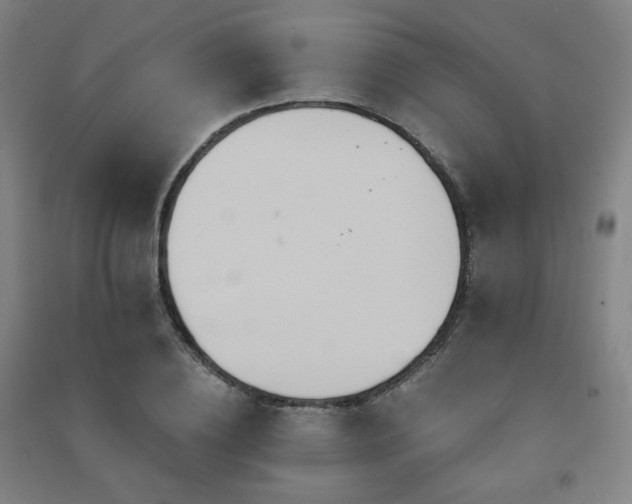 X0000091460836200708161521