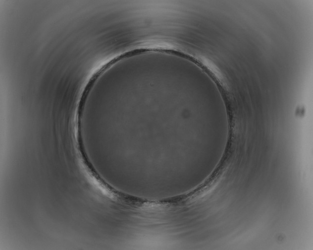 X0000091460840200708161521