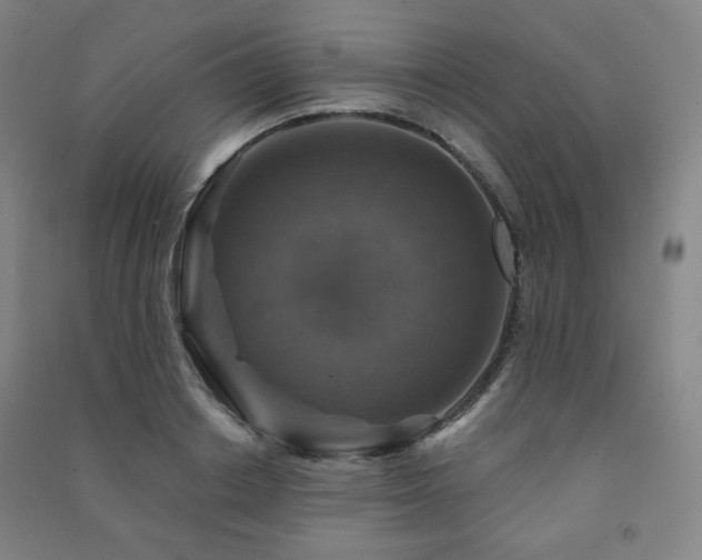 X0000091460842200708161521