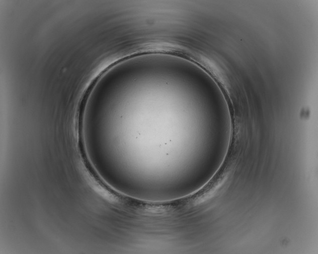 X0000091460843200708161521