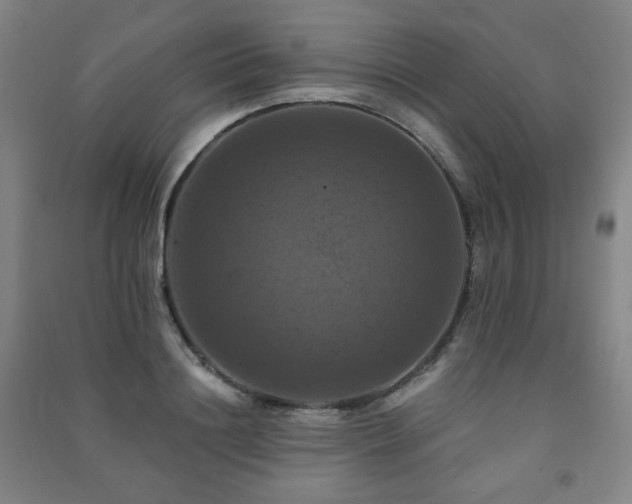 X0000091460844200708161521
