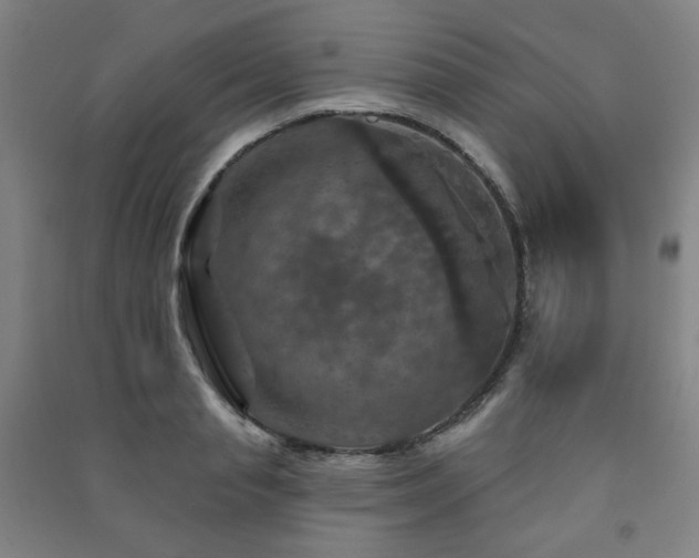 X0000091460845200708161521