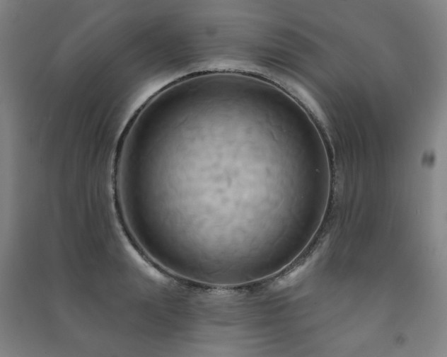 X0000091460847200708161521