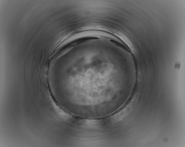 X0000091460849200708161521