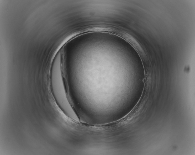 X0000091460852200708161521