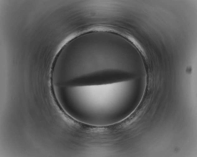 X0000091460853200708161521