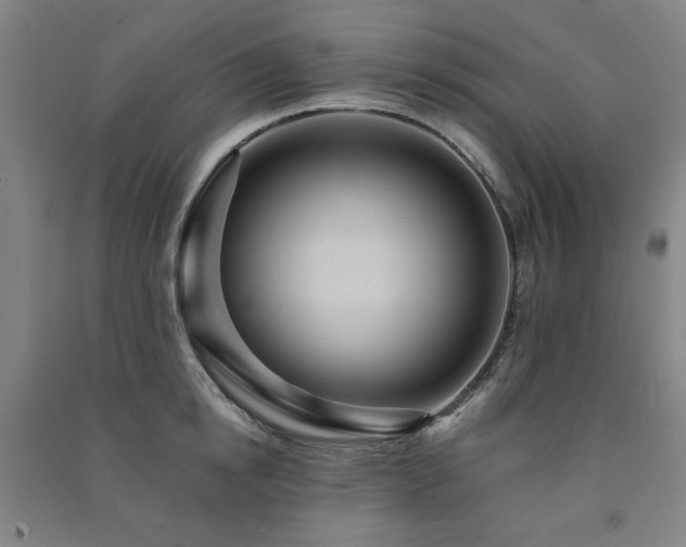 X0000091460854200708161521