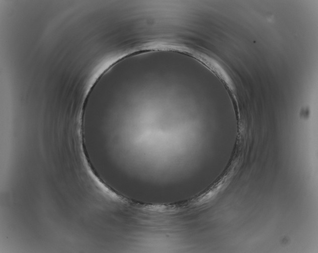 X0000091460855200708161521