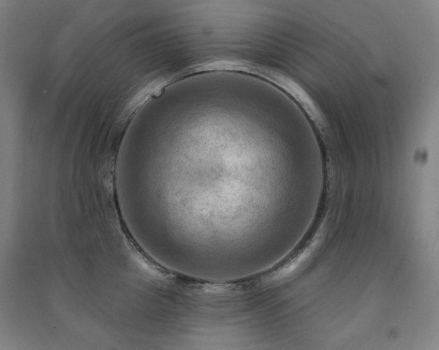 X0000091460857200708161521