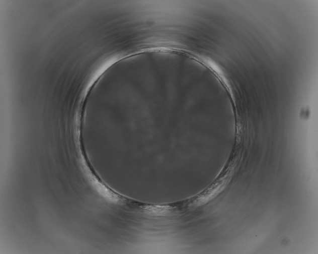X0000091460859200708161521