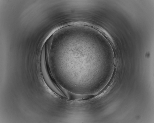 X0000091460860200708161521