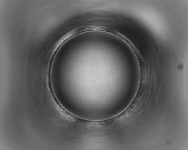 X0000091460861200708161521