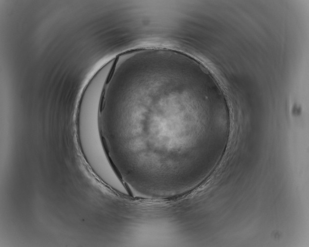 X0000091460864200708161521