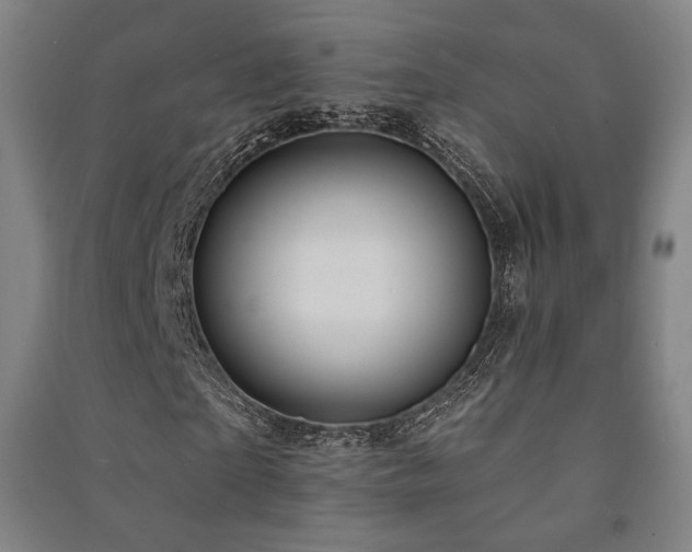 X0000091460865200708161520