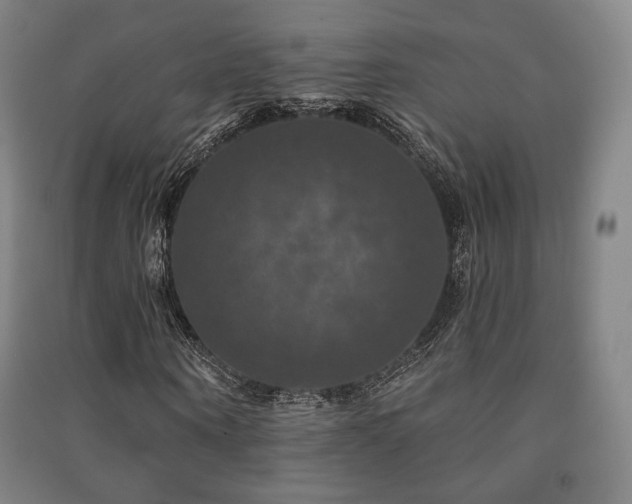 X0000091460866200708161520