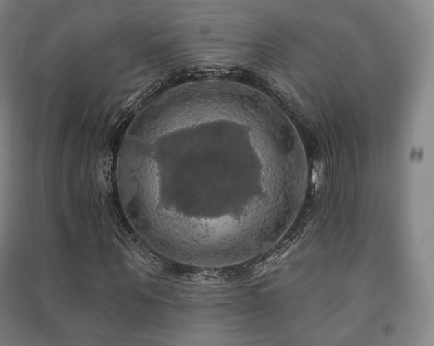 X0000091460867200708161520