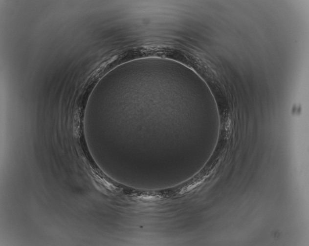 X0000091460868200708161520