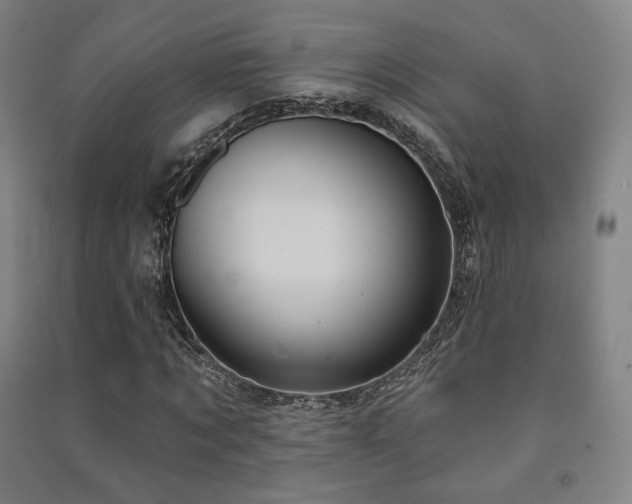 X0000091460869200708161520