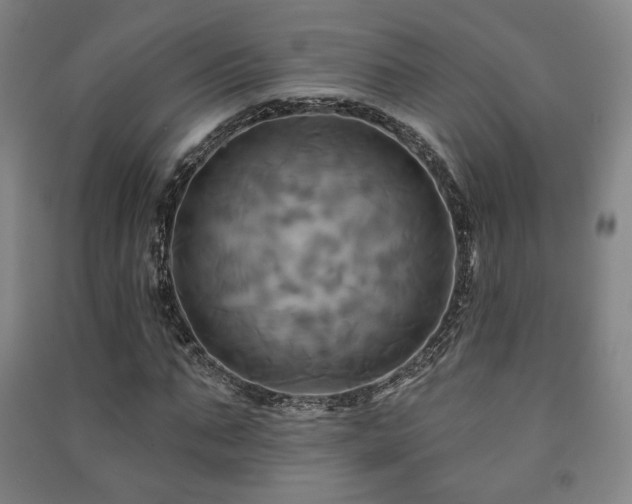 X0000091460871200708161520