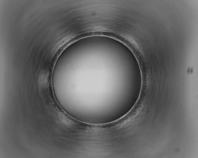 X0000091460873200708161520