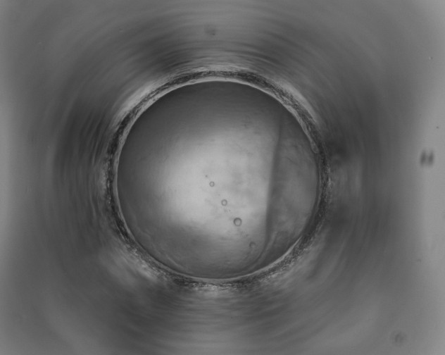 X0000091460874200708161520