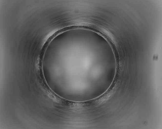 X0000091460875200708161520