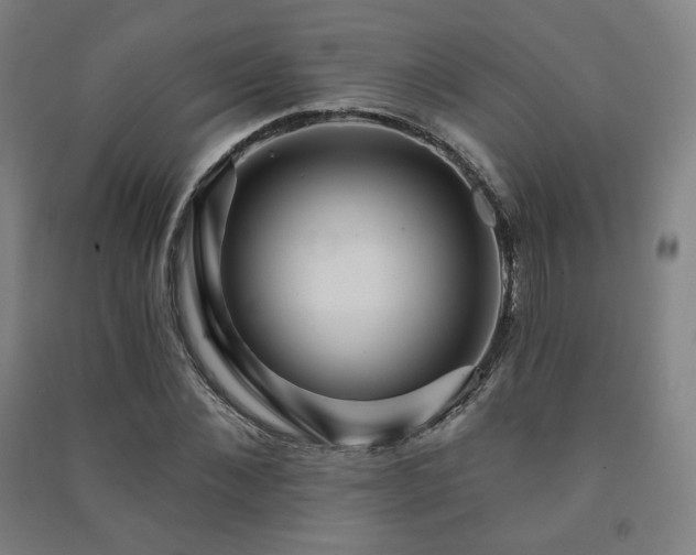 X0000091460876200708161520