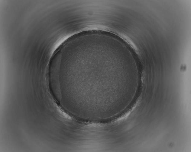 X0000091460877200708161520