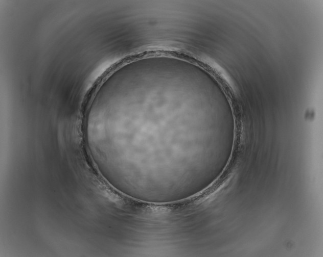 X0000091460878200708161520