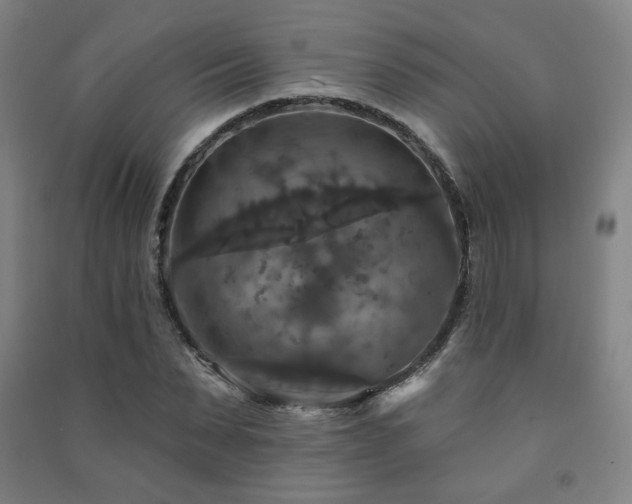 X0000091460879200708161520