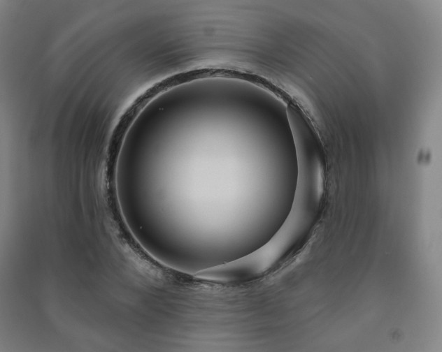 X0000091460880200708161520