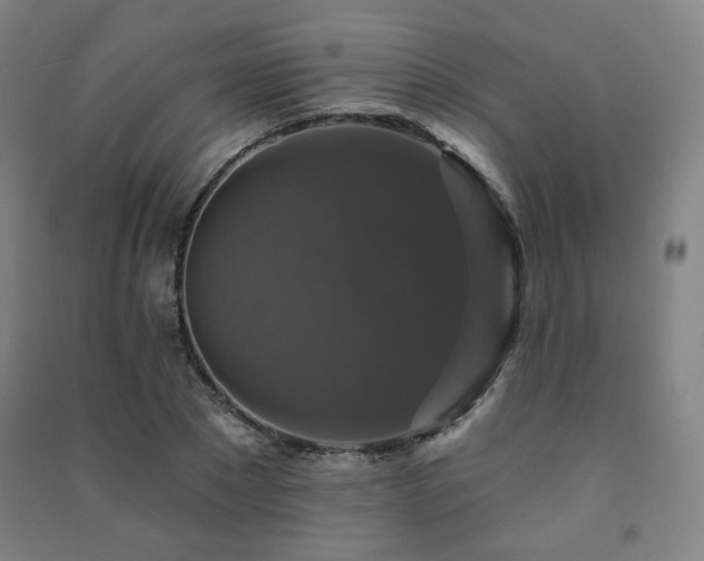 X0000091460881200708161520